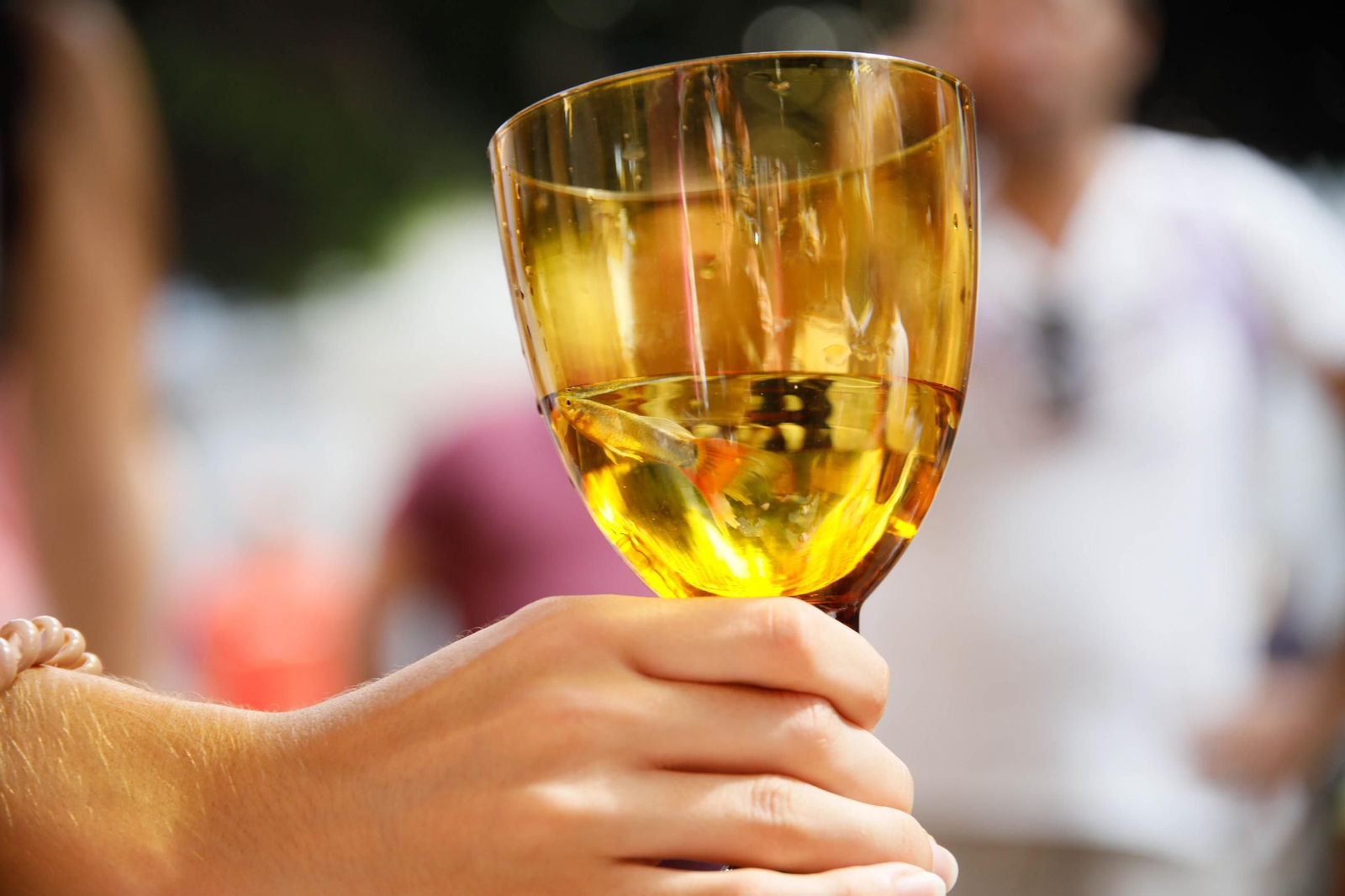 Las mejores imágenes del espectáculo 'Magia en la Calle' en el Paseo de Almería