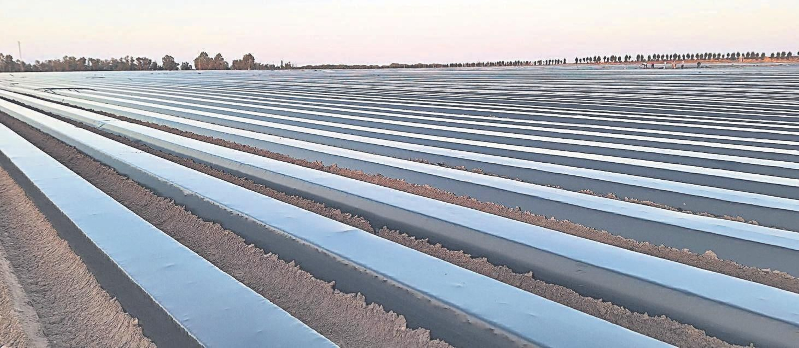 Estas soluciones están adaptadas a los nuevos compromisos medioambientales y cumplen con los requisitos de los programas y fondos operativos europeos.