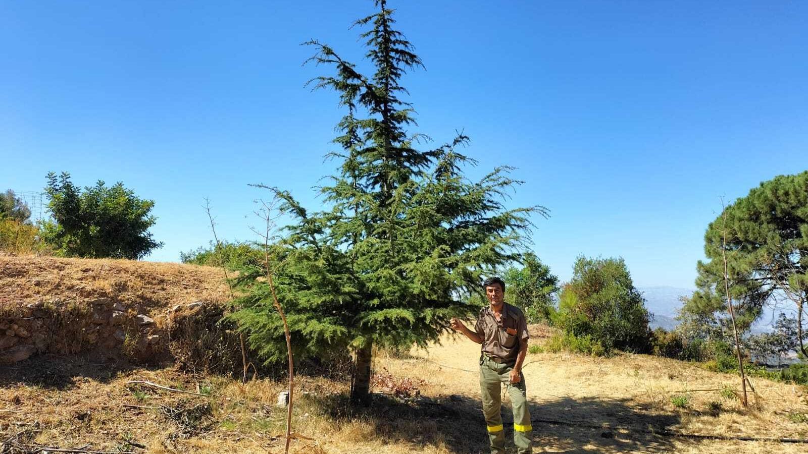 Paco Corbacho en el Arboretum de Jarapalos junto a su árbol favorito