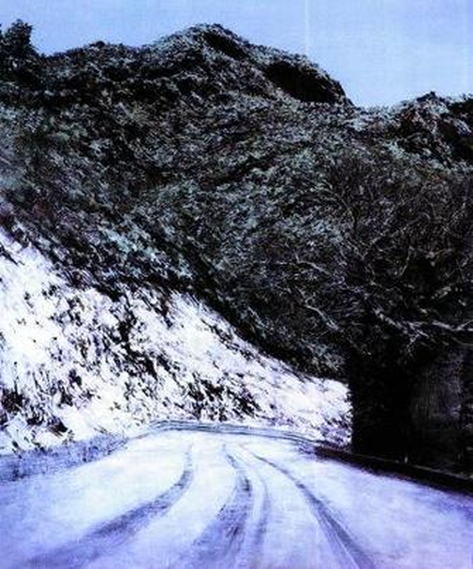 'Nevada' de Guillermo Sedano, es el cuadro ganador de esta edición.