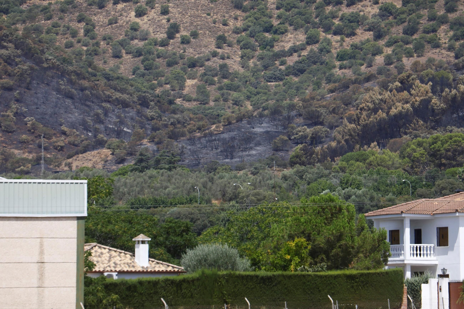 Zona cero del incendio de la Sierra de Córdoba