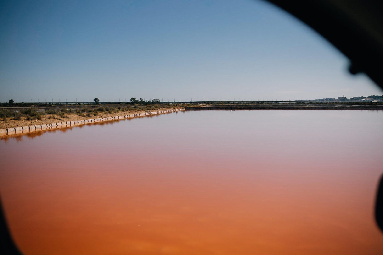 Un recorrido fotográfico por el Paraje Natural Marismas del Odiel