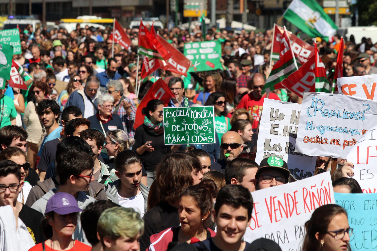 La manifestación contra la Lomce, en imágenes