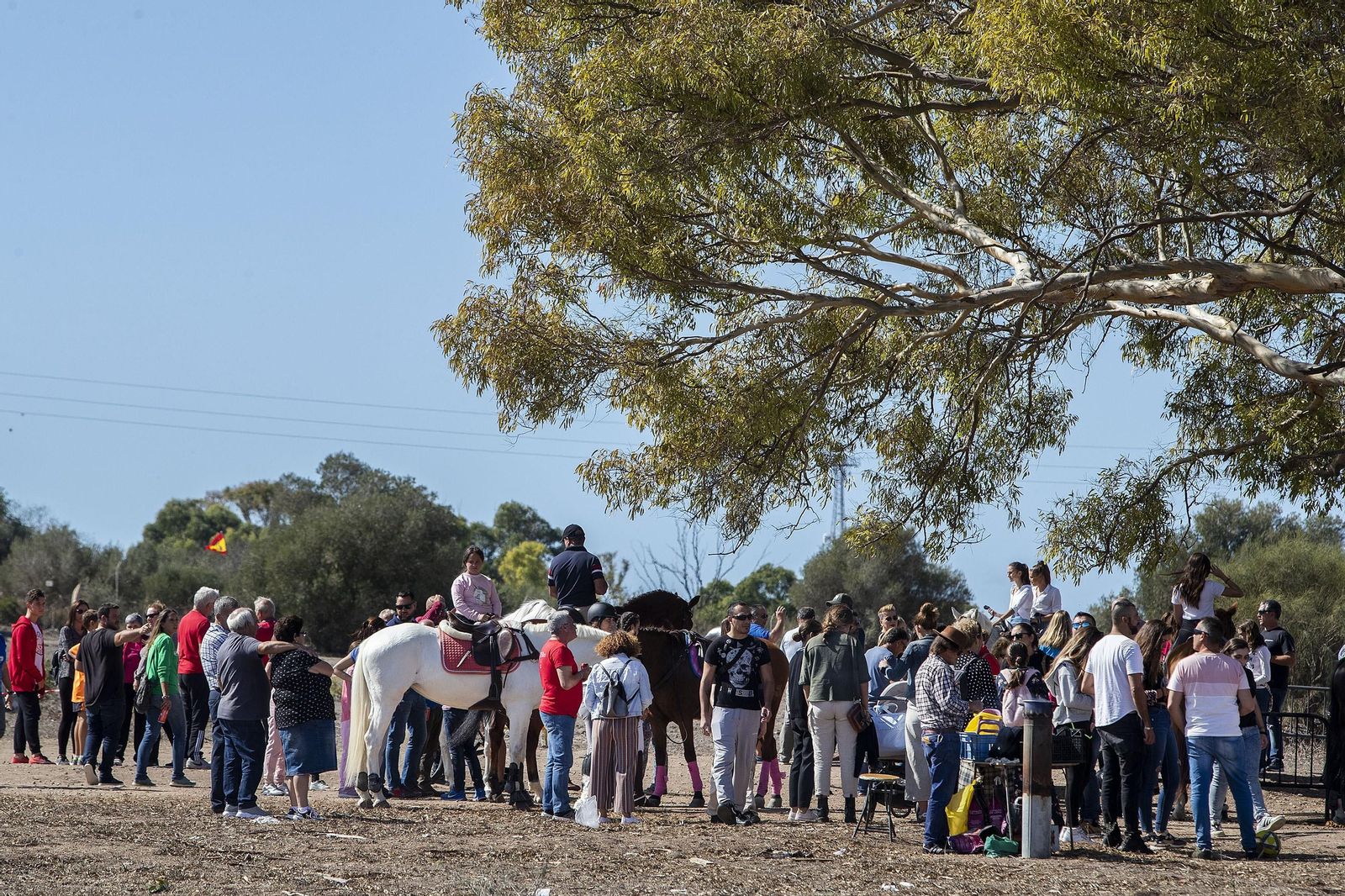 Las imágenes de la Romería del Cerro