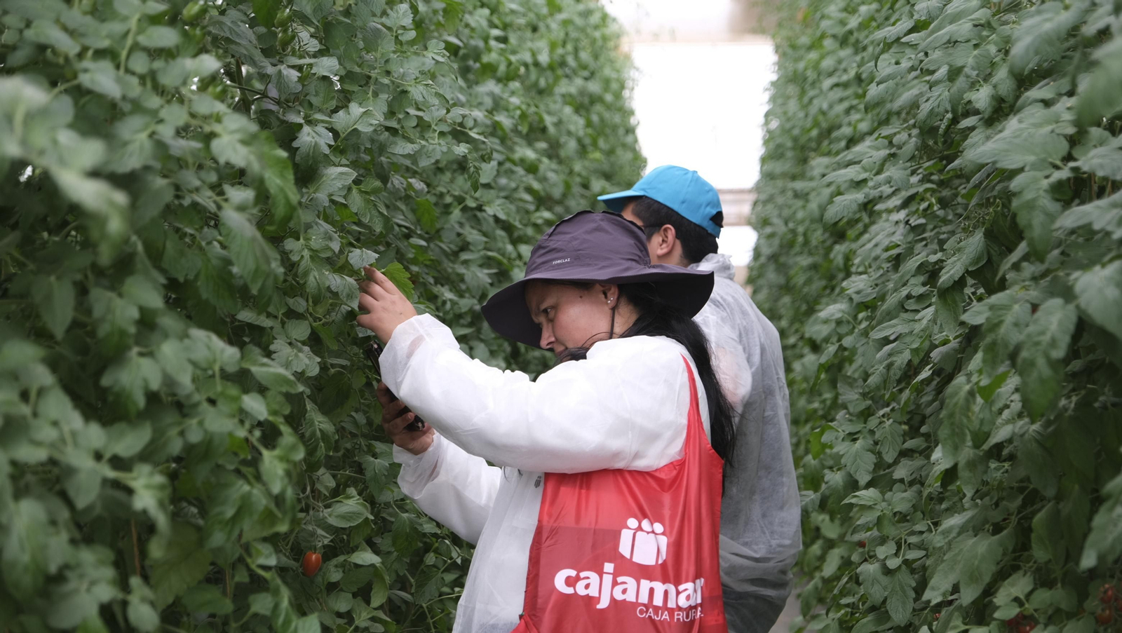Imágenes del Foro Datagri en Las Palmerillas Cajamar