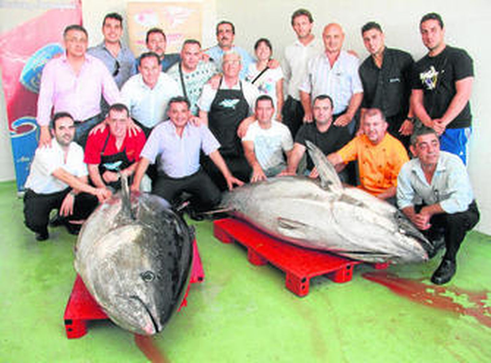 Los dos ejemplares de atún adquiridos ayer serán degustados en parte entre las 12.000 tapas preparadas hoy.