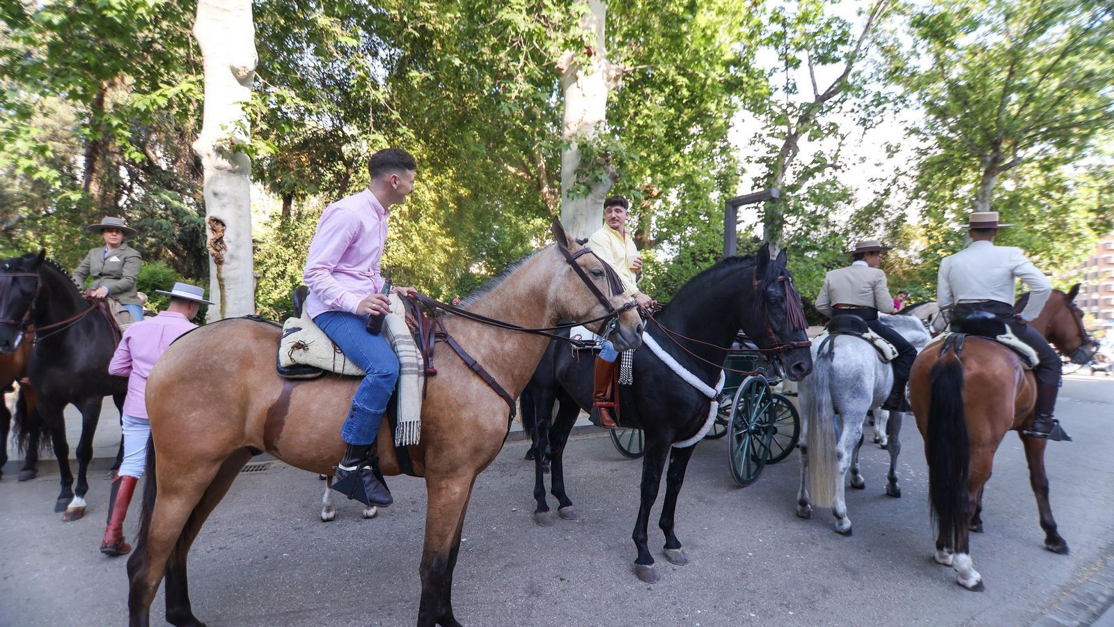 Encuéntrate en la mejores fotos del Día de la Cruz de Granada