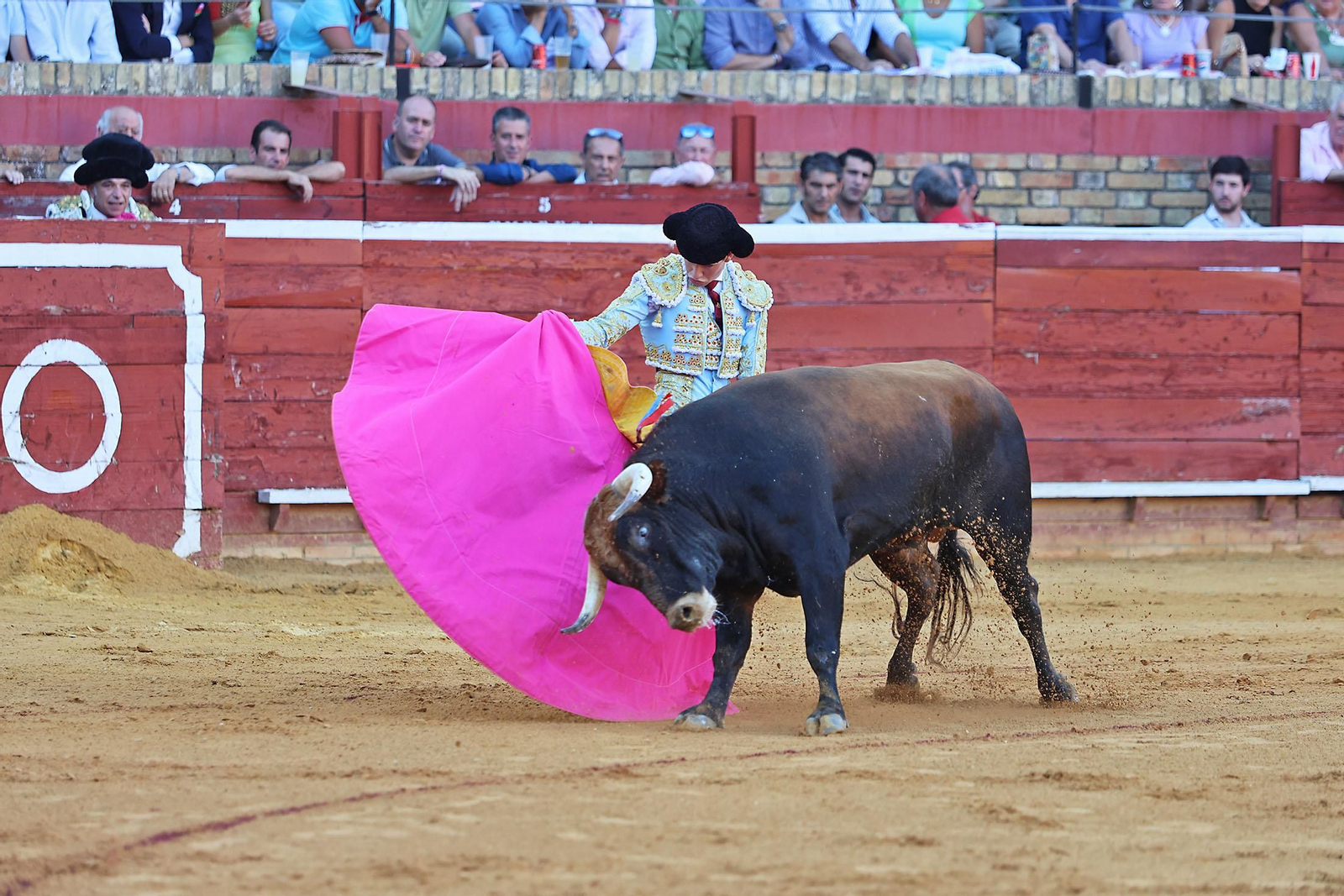 Toros La Merced 2024 Novillada con picadores(