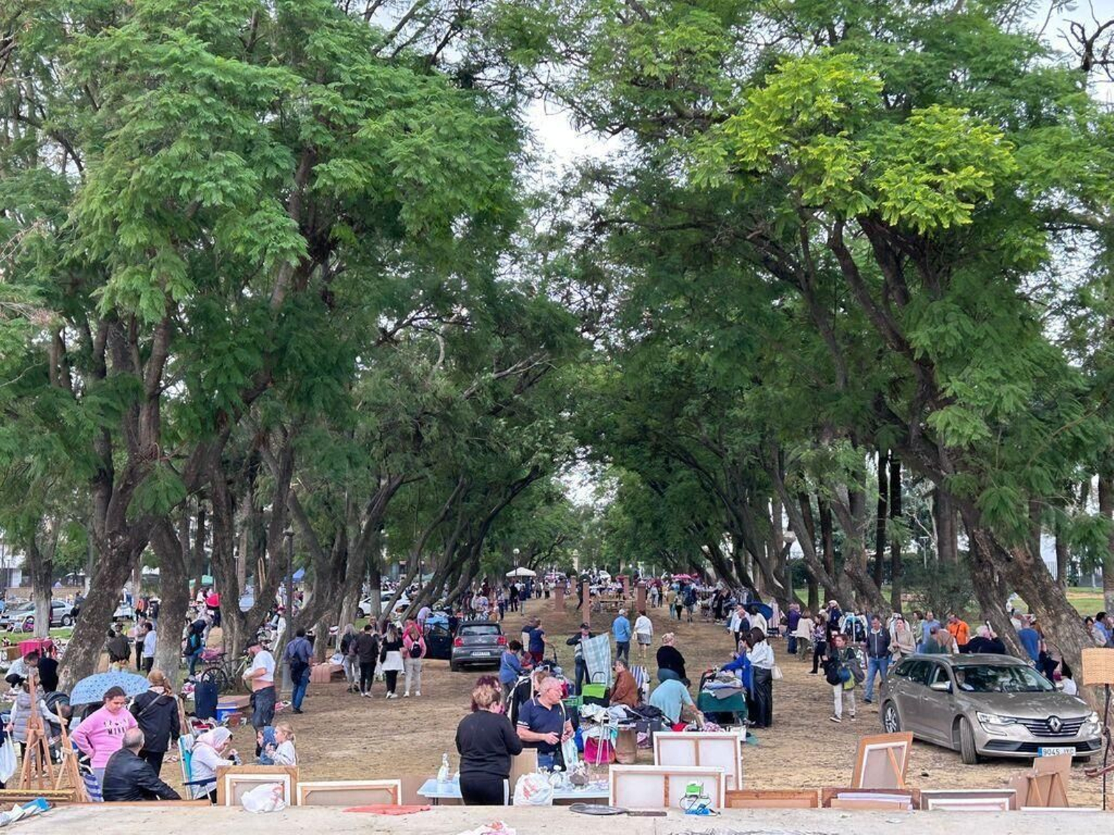 Rastrillo de los domingos