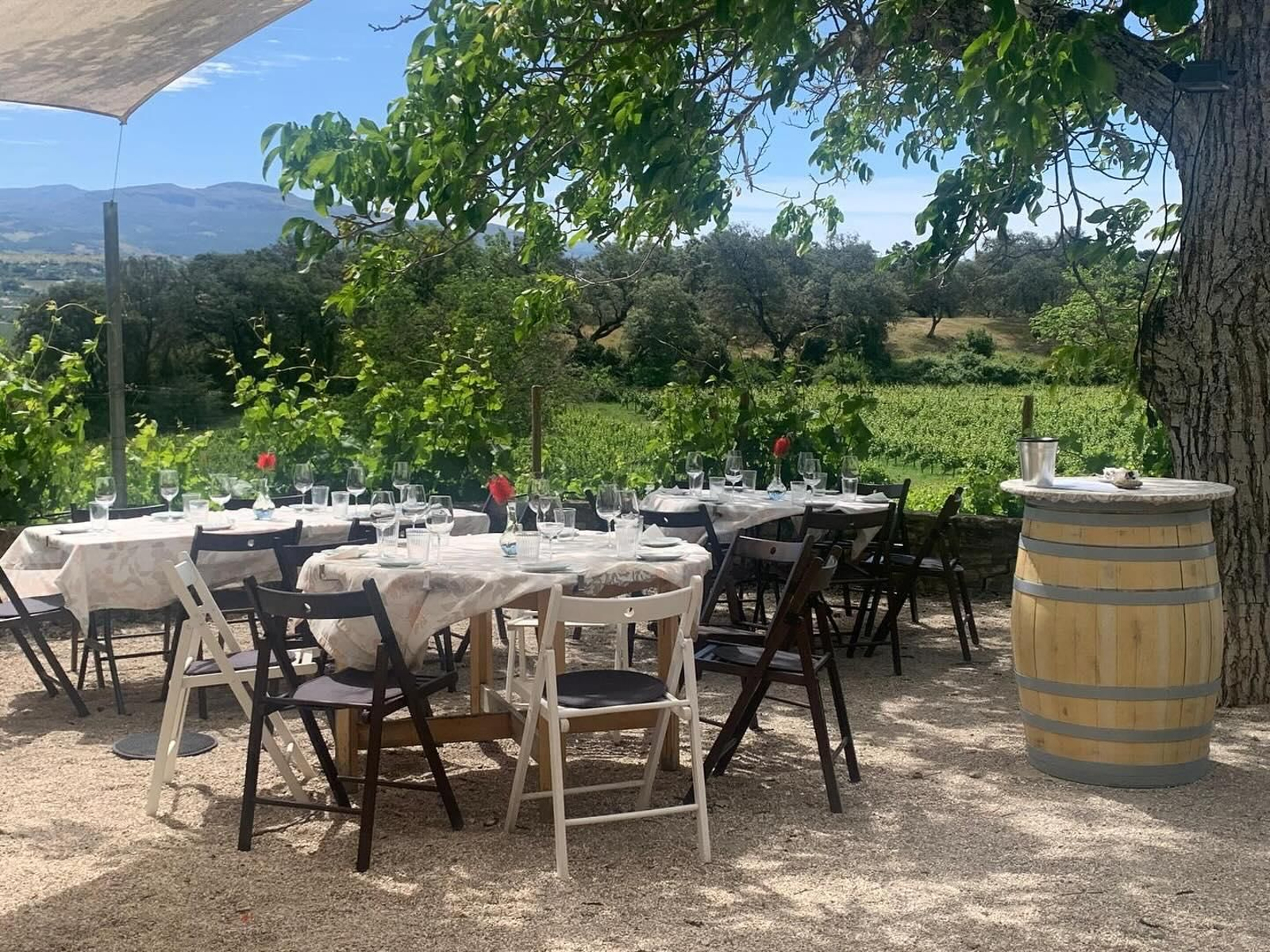 Una cata de vino en Bodega Kieninger.