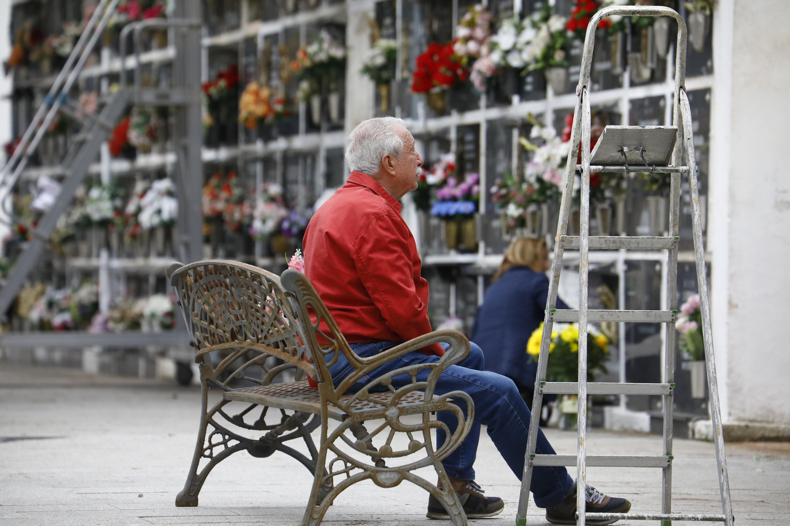 Las imágenes de los preparativos de los cementerios de Córdoba por el día de Todos los Santos
