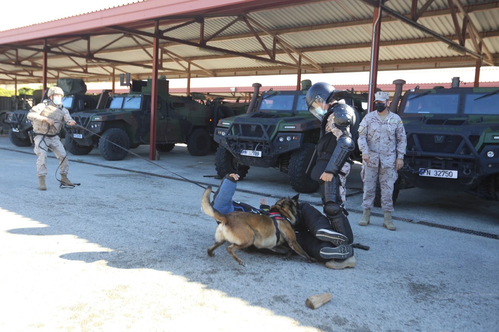 Ejercicio de Adiestramiento 2021 de Unidades Caninas en el TEAR.