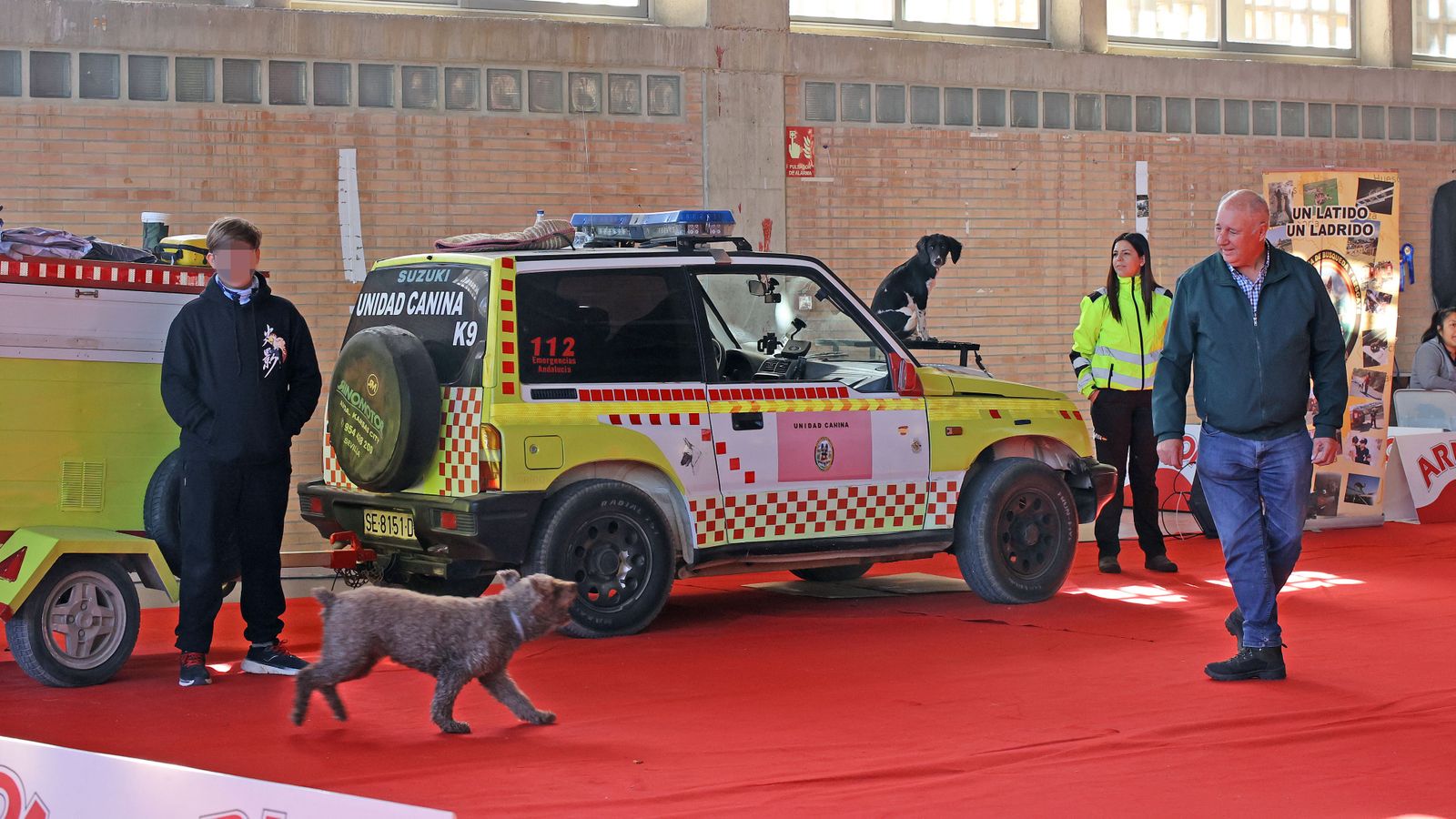 Imágenes de la 49ª edición de la Exposición Nacional Canina y la 25ª edición de la Exposición Internacional Canina en IFECA Jerez