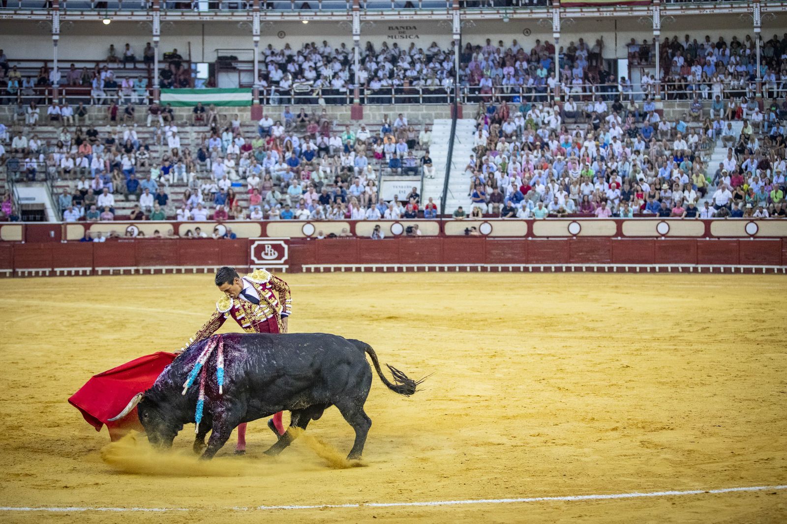 Daniel Crespo, Manzanares y Juan Ortega, en la plaza de toros de El Puerto