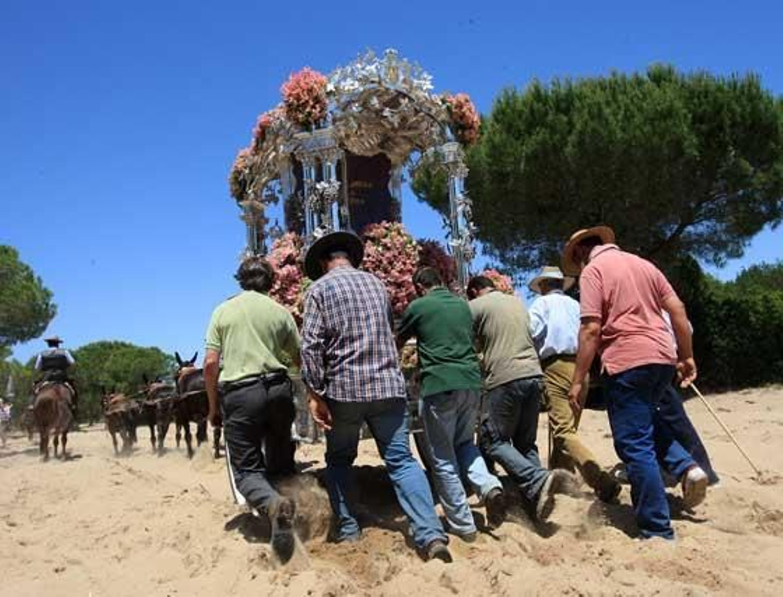 Un grupo de peregrinos tras la carreta del Simpecado. 

Foto: Juan Carlos Toro