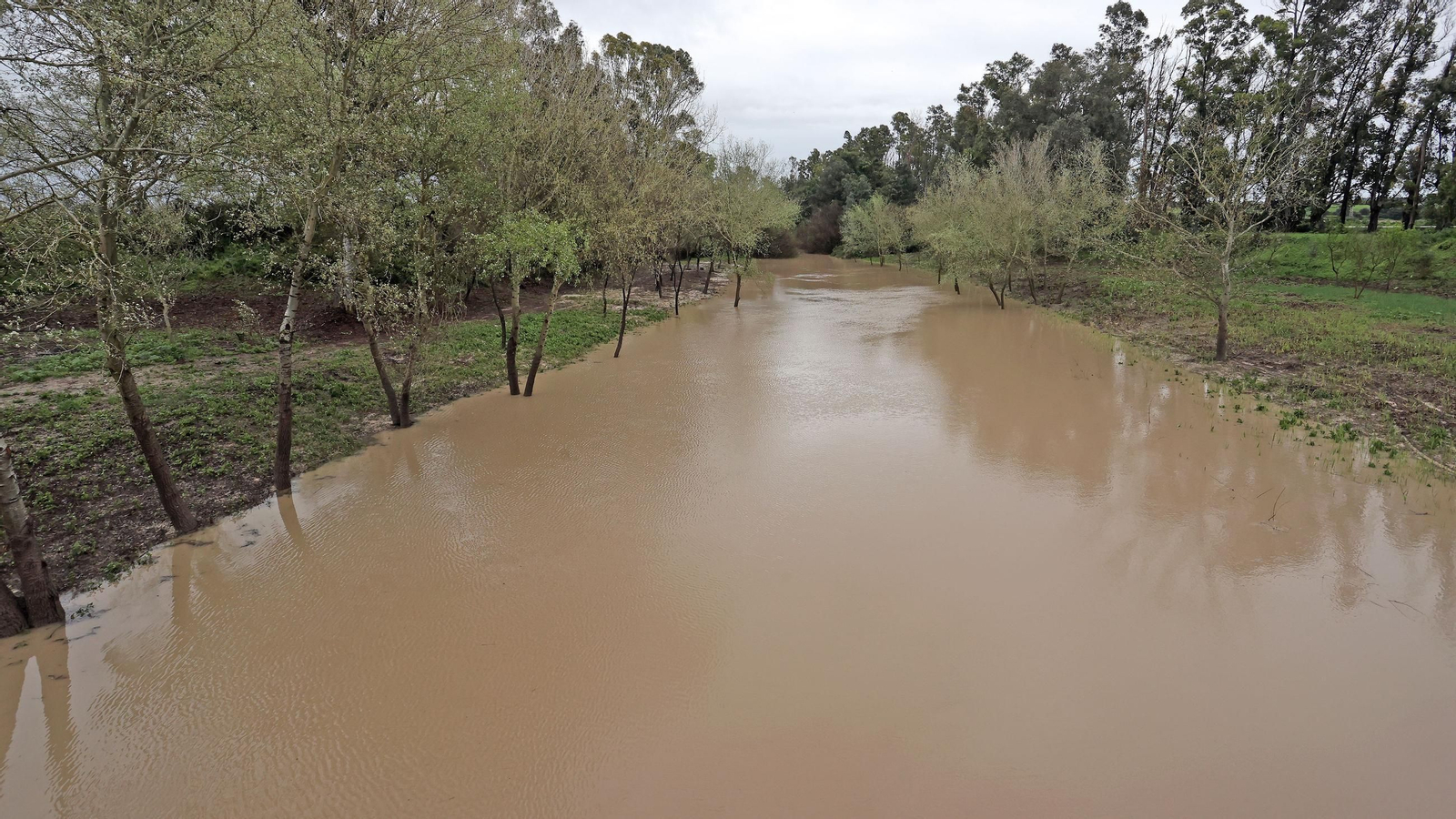 Imágenes del temporal de viento y lluvia en Jerez