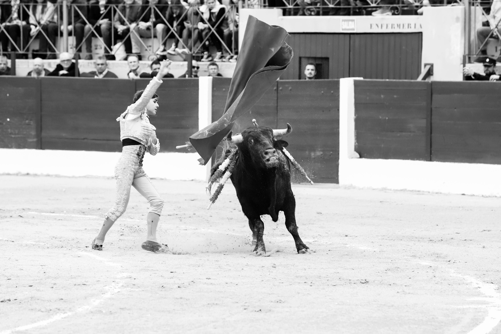 Imágenes de la novillada previa a la Semana Santa en la plaza de toros de La Línea