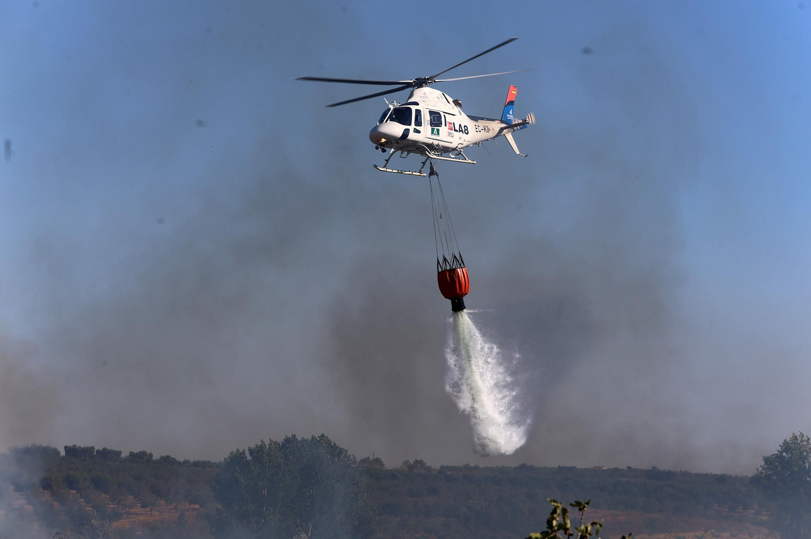 Imágenes del incendio en el Paraje del Arroyo de la Madreselva, en Bollullos par del Condado