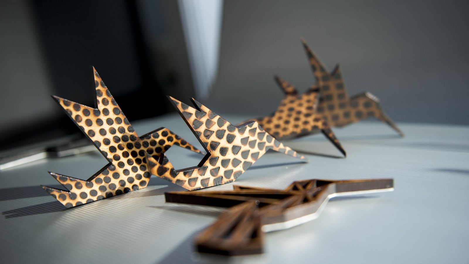 Pajaritas exclusivas.