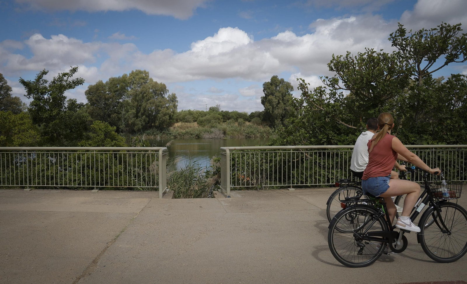La zona de acceso al río Guadalquivir donde estaba oculto el cadáver.