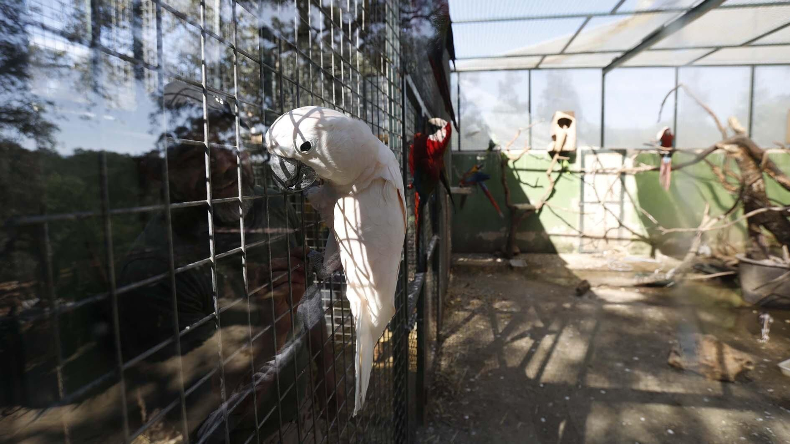 Las fotos del Zoo de Castellar de la Frontera