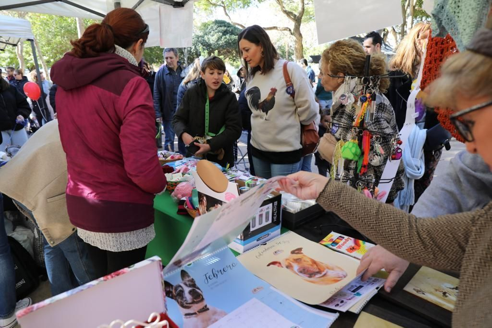 Así ha sido la celebración de San Antón en San Fernando