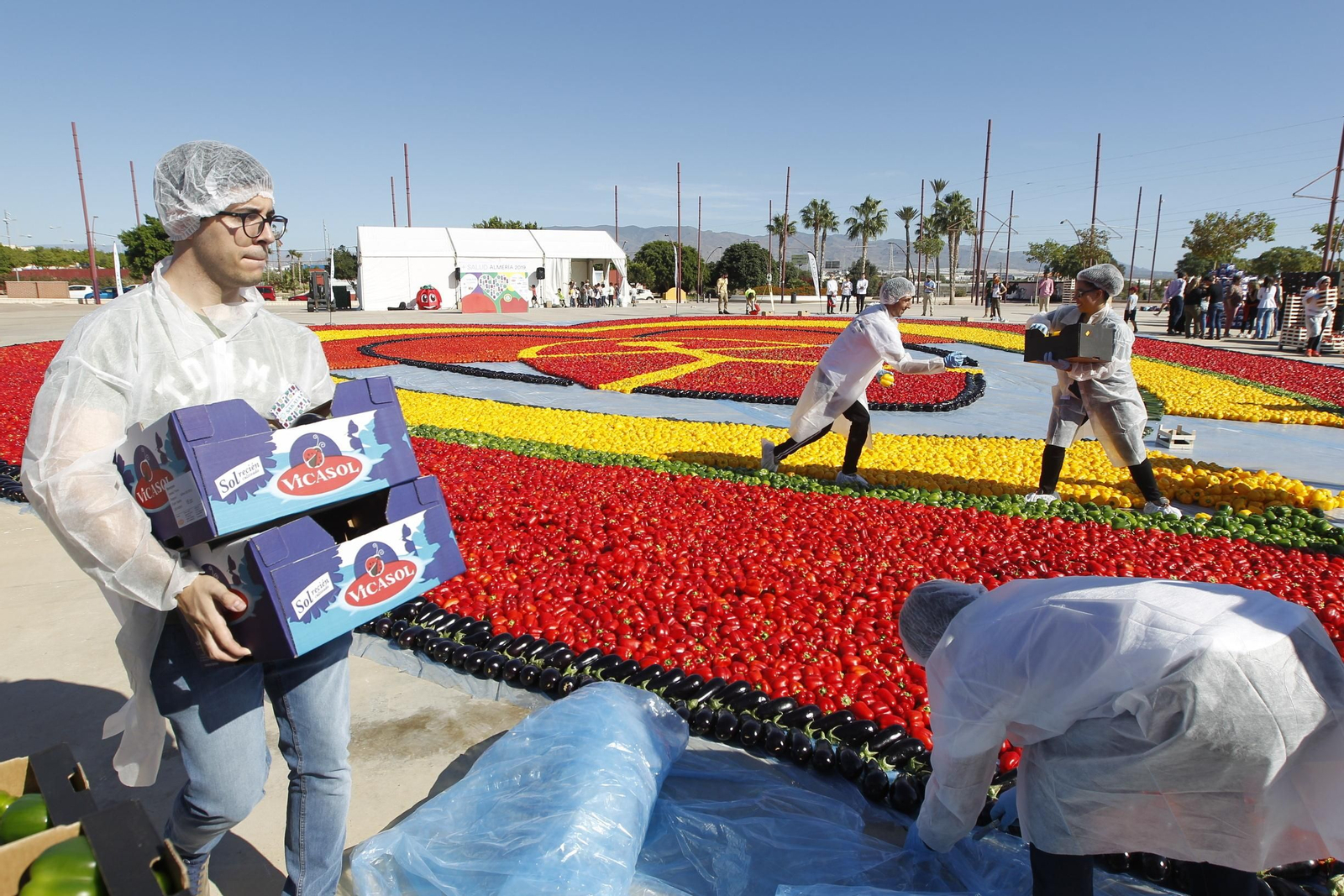Fotogalería Récord Guinness Corazón Hortalizas Almería
