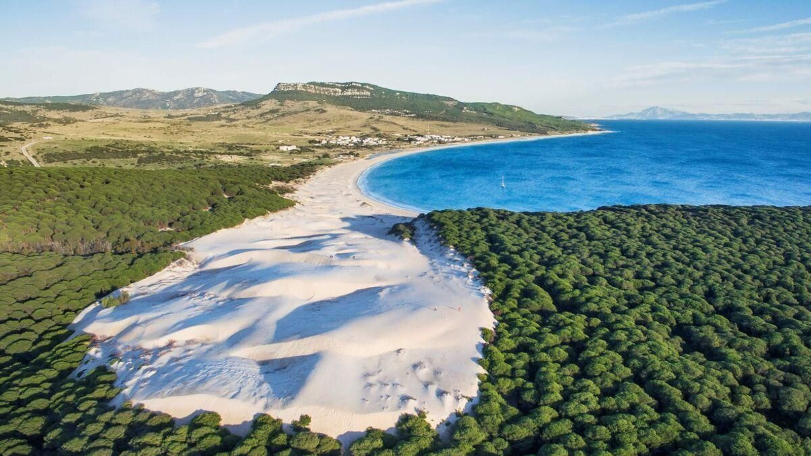 Bolonia. Bolonia.