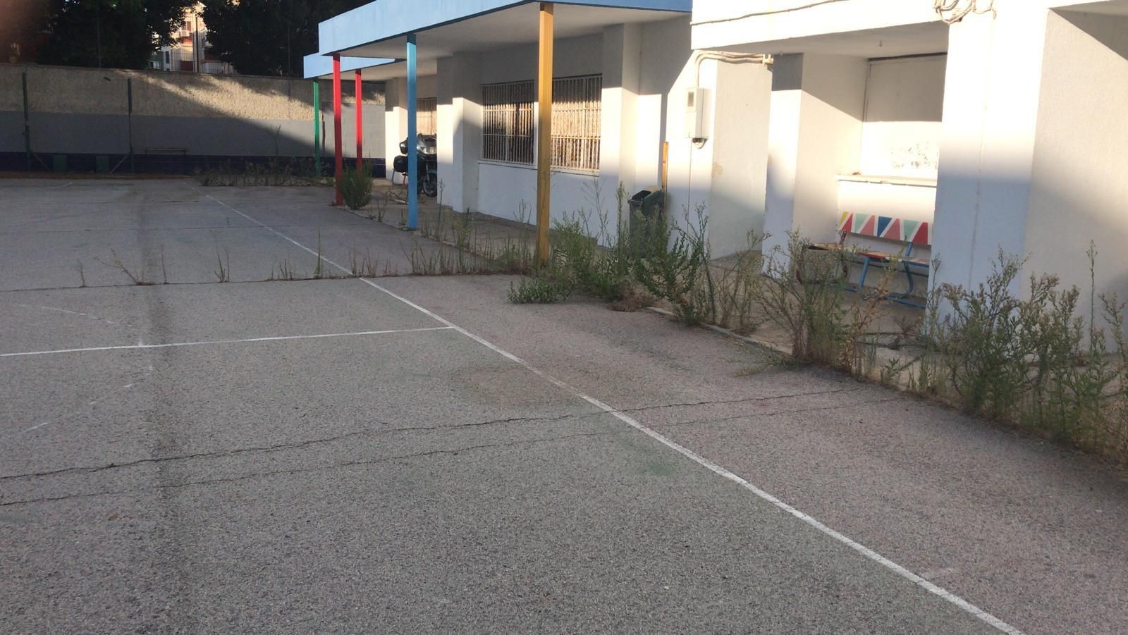 Patio del colegio La Ardila con matojos aún, según la denuncia de AxSí.