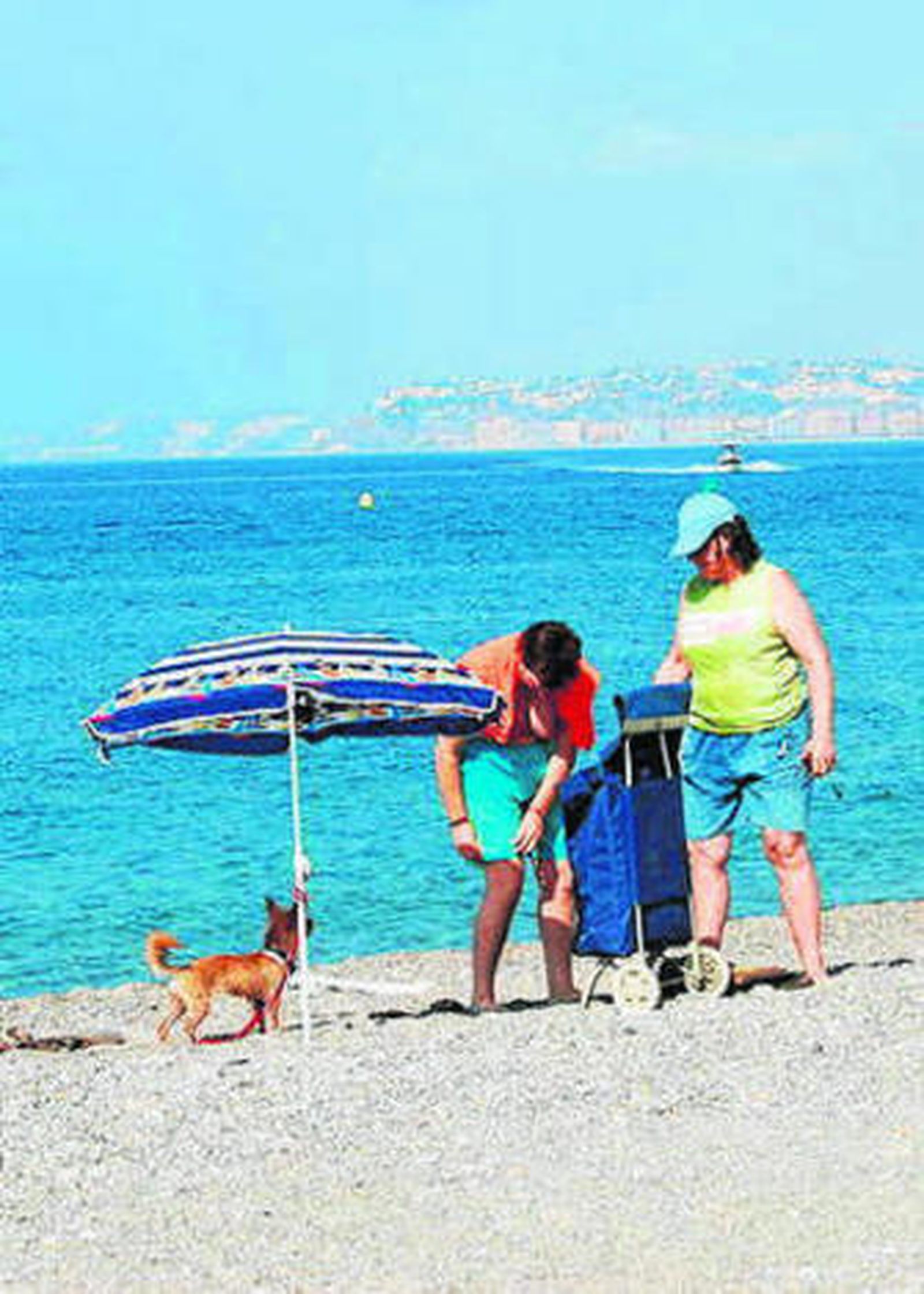 IU pedirá la habilitación de una zona.