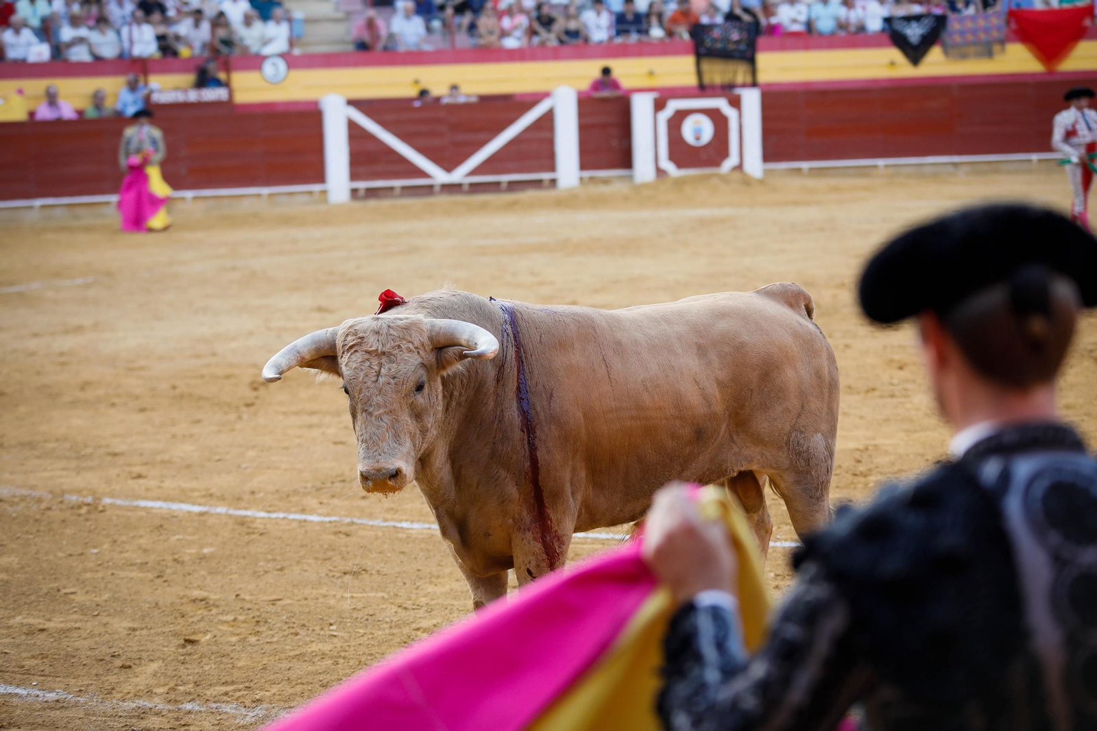 Imágenes de la corrida de toros en Roquetas de Mar