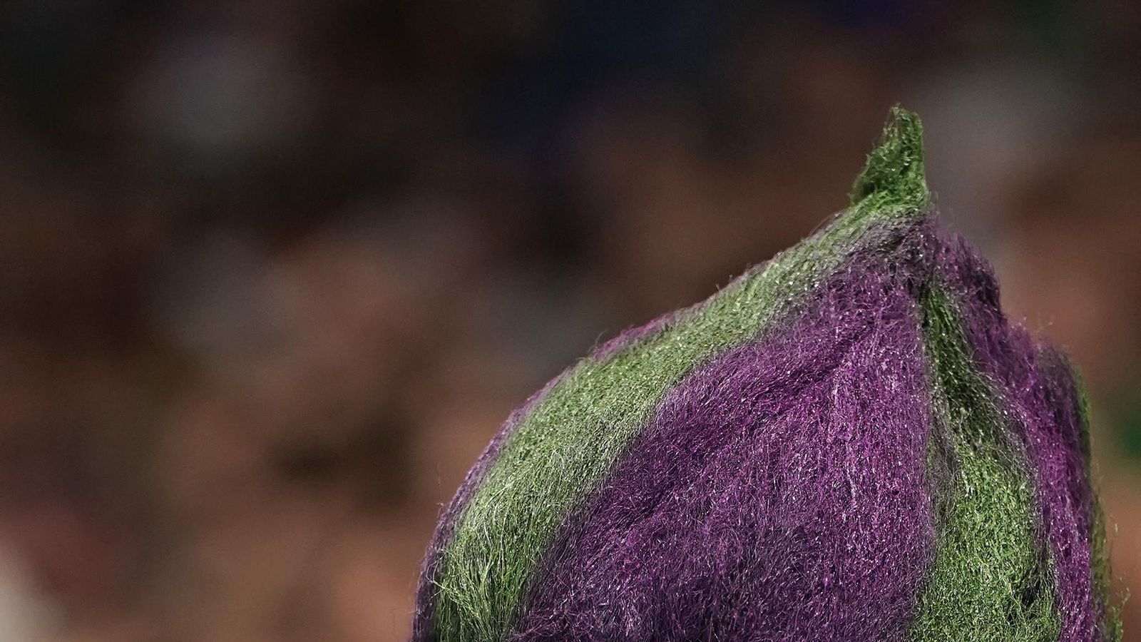 El Unicaja-Joventut, en fotos