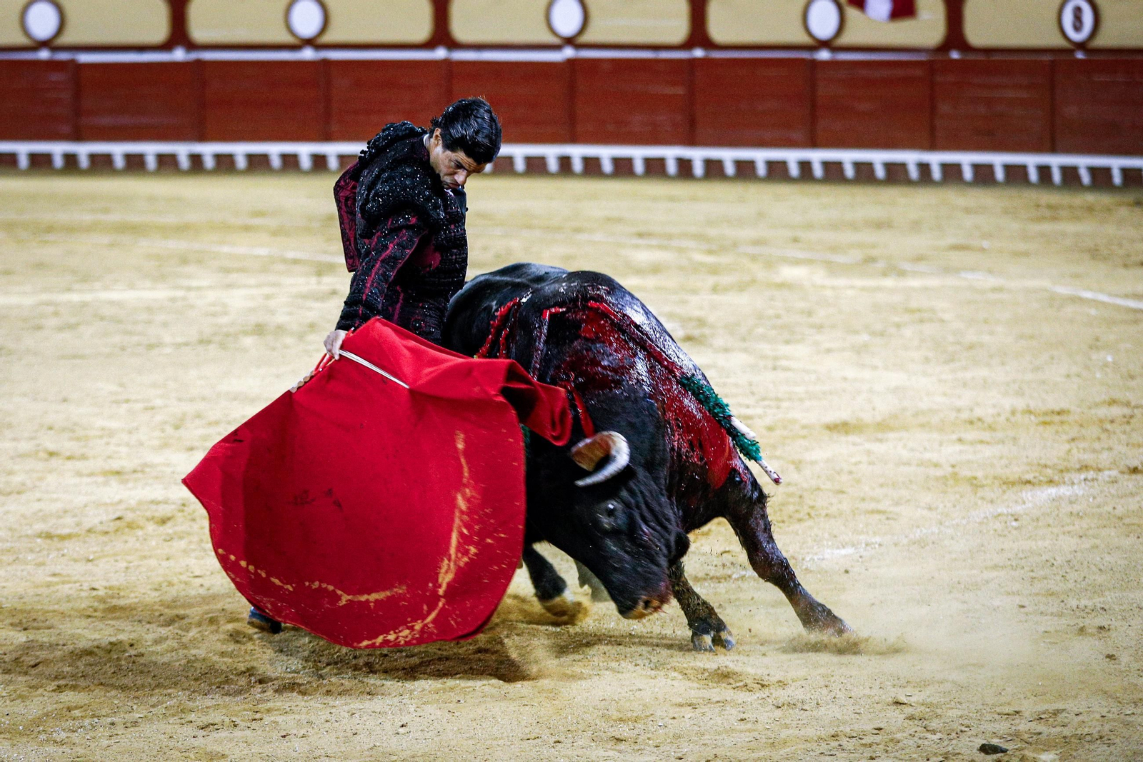 Imágenes de la corrida de toros en El Puerto: Manzanares, Roca Rey y Pablo Aguado