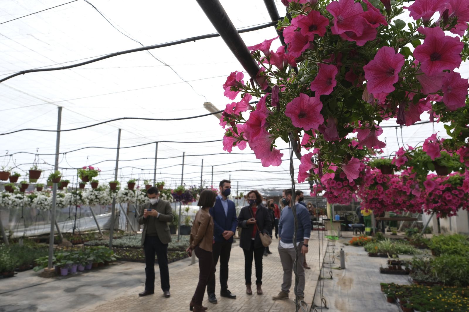 Fotogalería de la visita al vivero municipal de Almería.