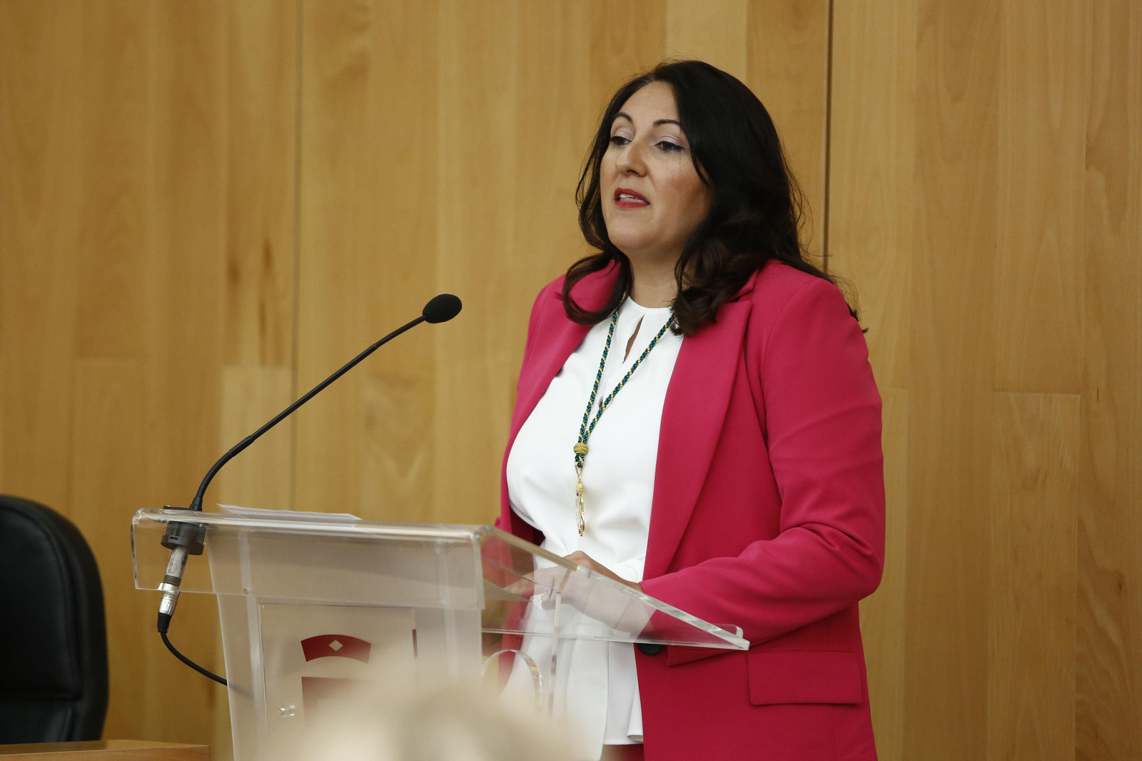 La 'nueva vida' de la Diputación de Granada, en imágenes