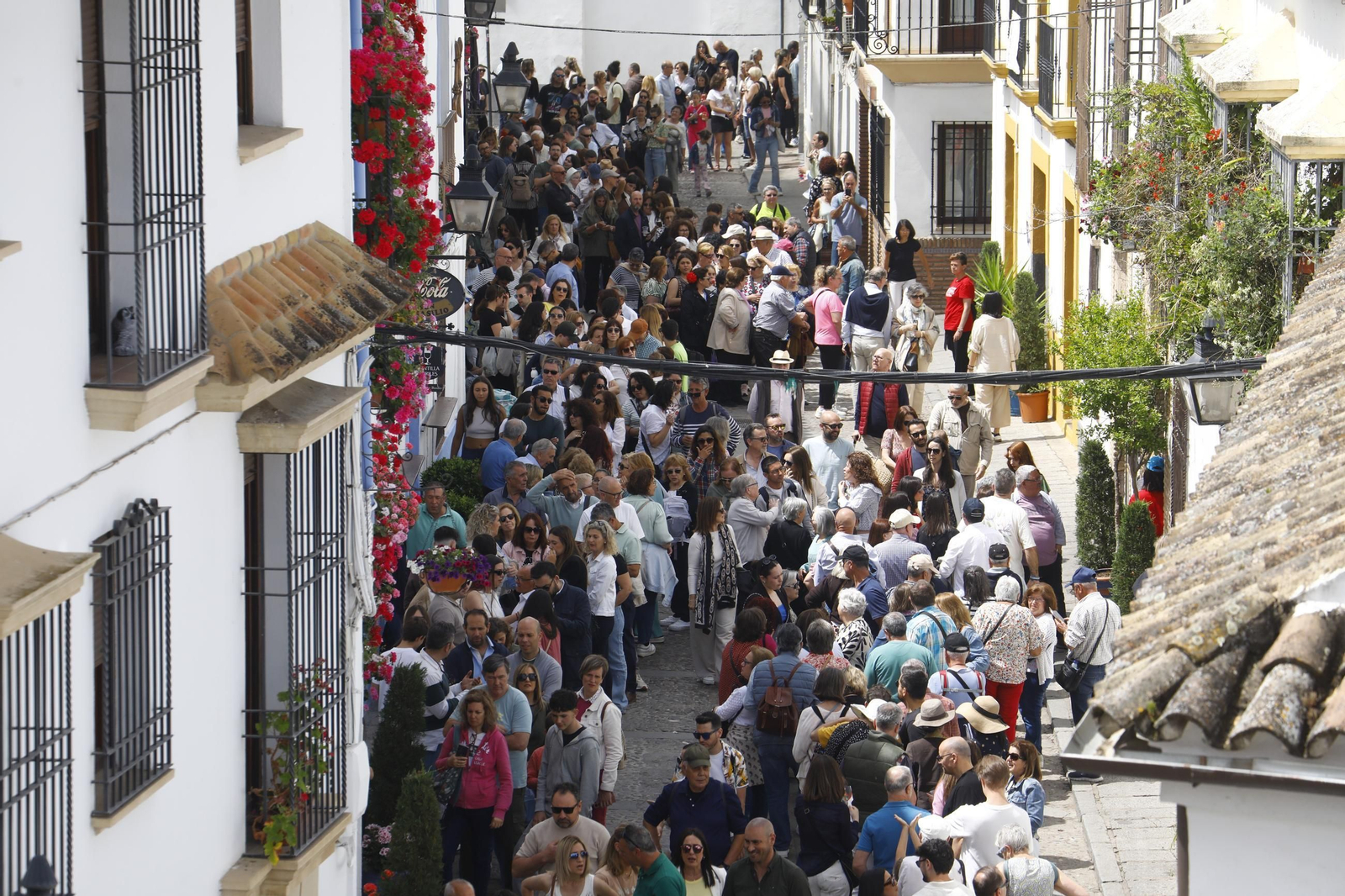 Colas e ilusión en el primer sábado de los Patios de Córdoba, en imágenes