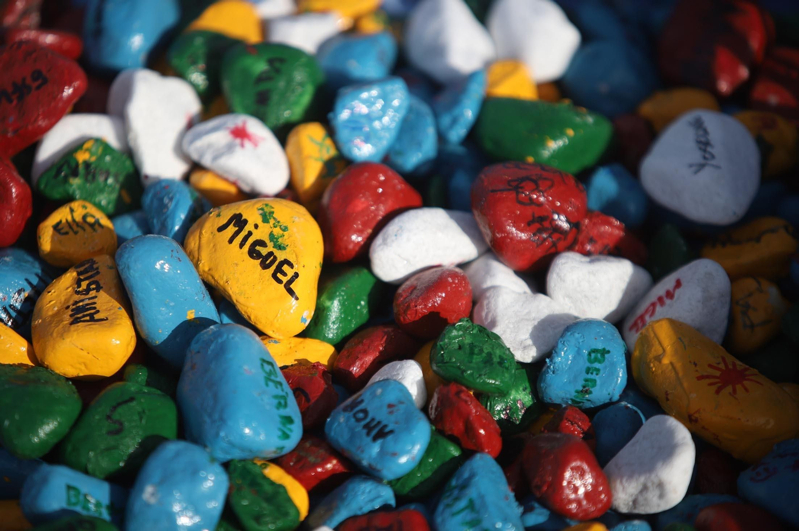 Imágenes la plantación de árboles en la Barriada de la Navidad por alumnos del Colegio Virgen de Belén