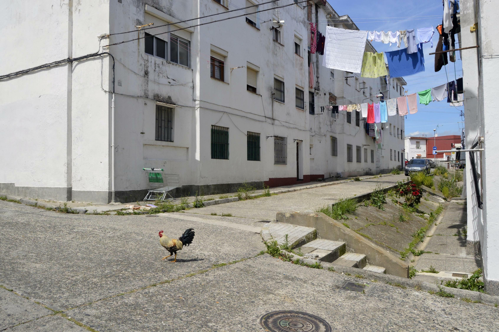 La calle Duero, en la zona de La Piñera donde se produjo el apuñalamiento.