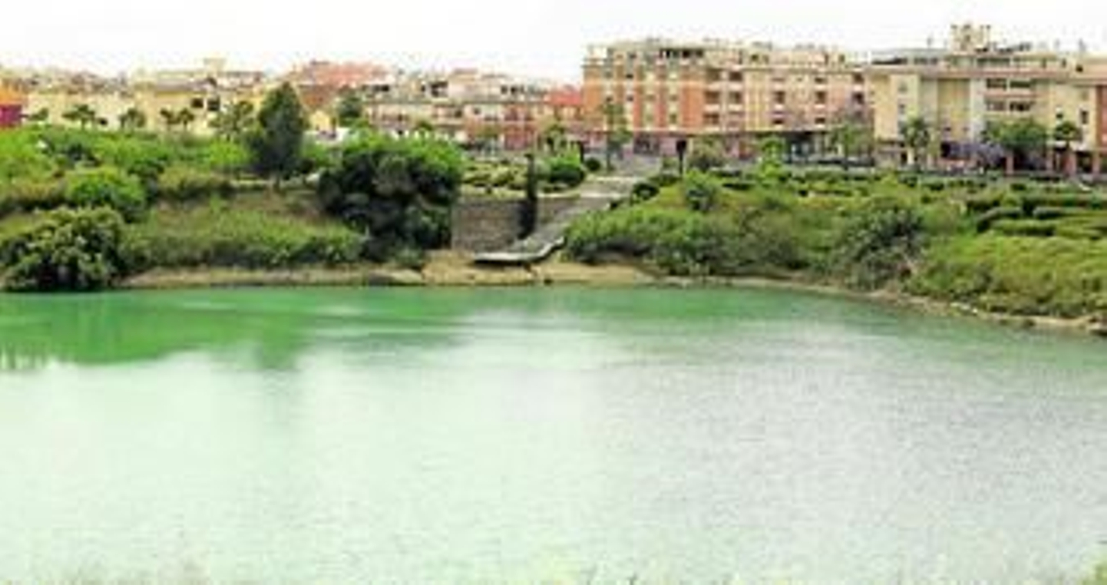 Seis meses sin el pulmón de Teatinos