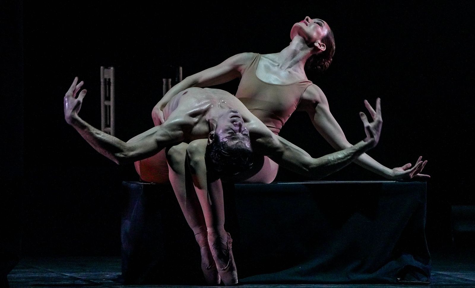 Imágenes de Sergio Bernal Dance Company 'Rodin', 30ª Festival de Jerez