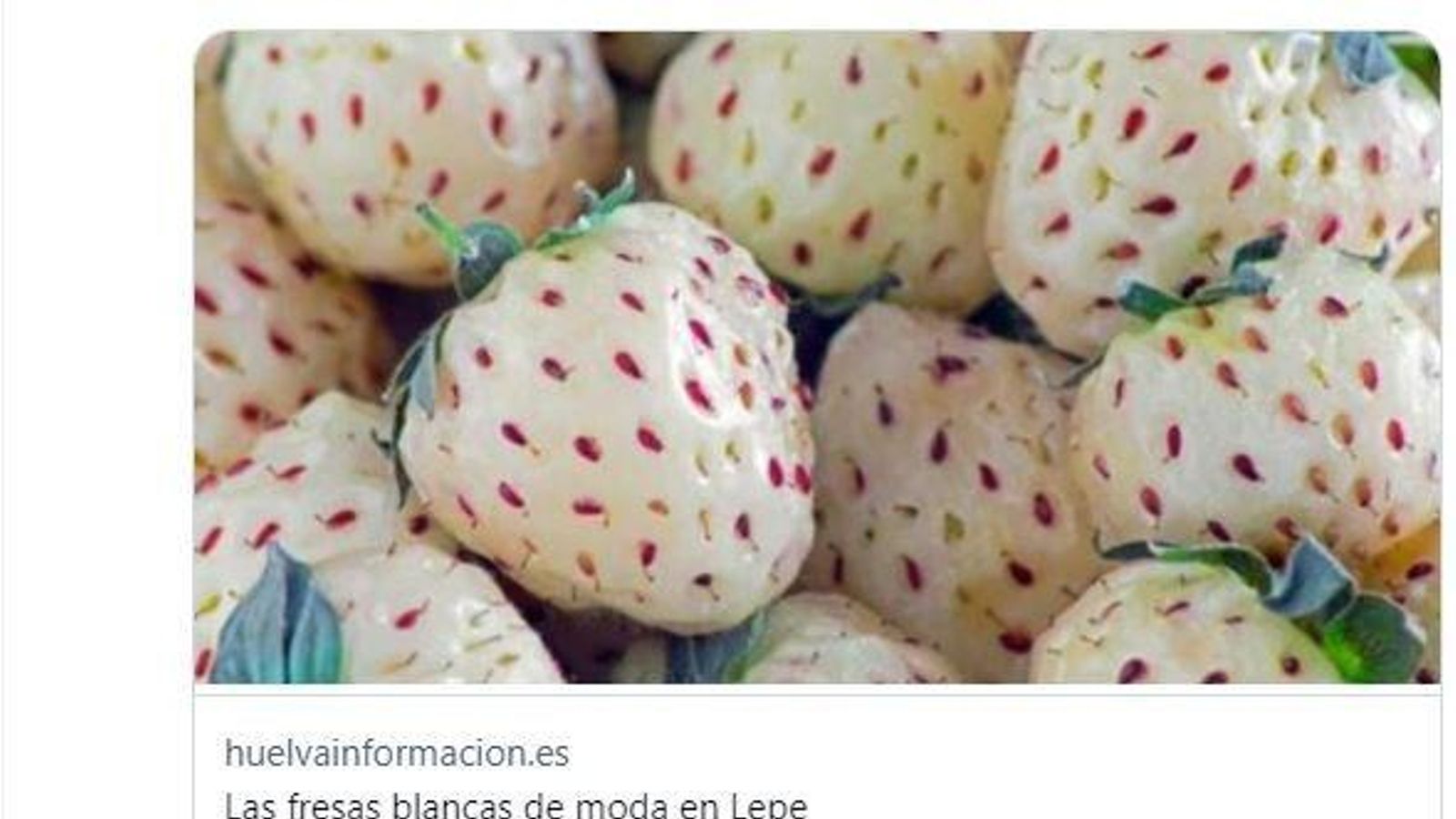 Tomás Roncero retuitea la noticia sobre las fresas blancas de Huelva