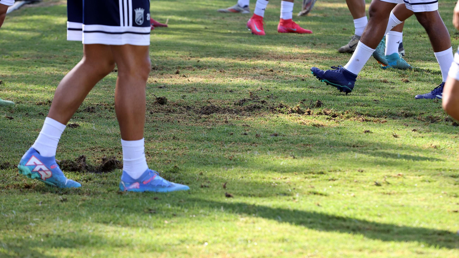 Detalle del césped del Pedro Garrido.