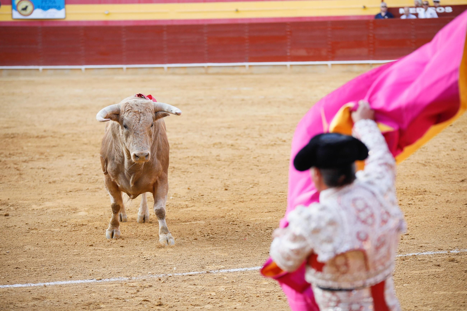 Imágenes de la corrida de toros en Roquetas de Mar
