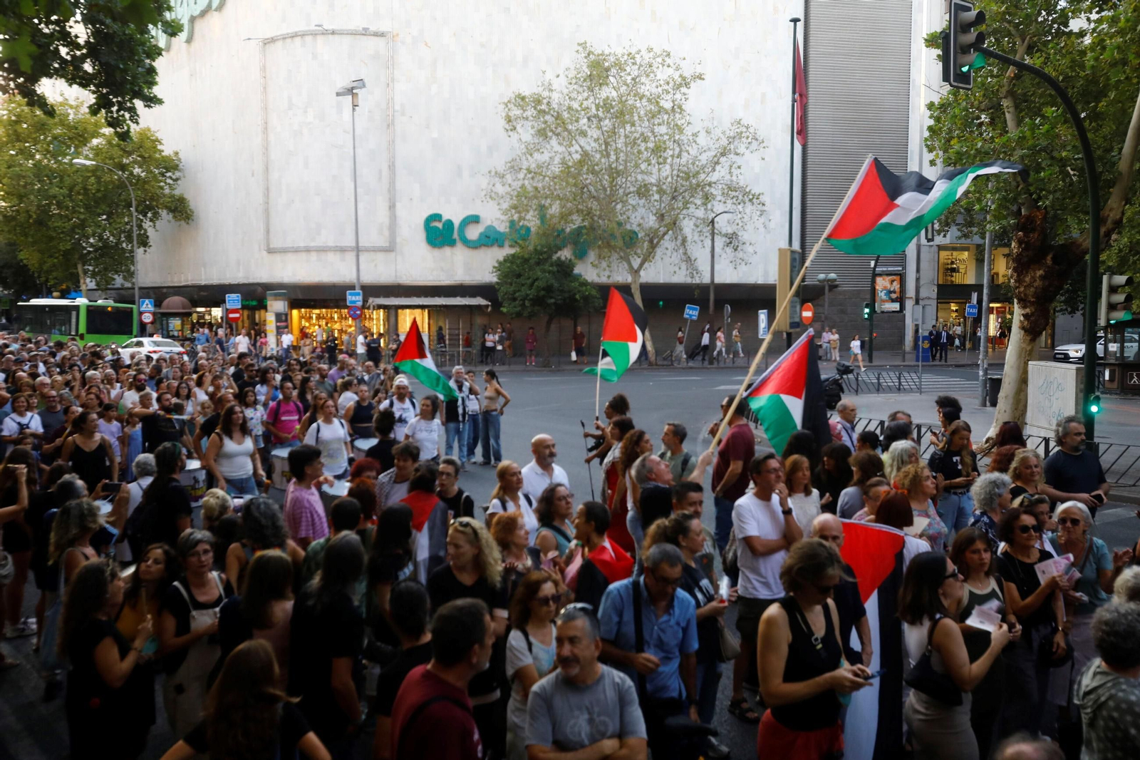 Las imágenes de la manifestación de Córdoba por Gaza