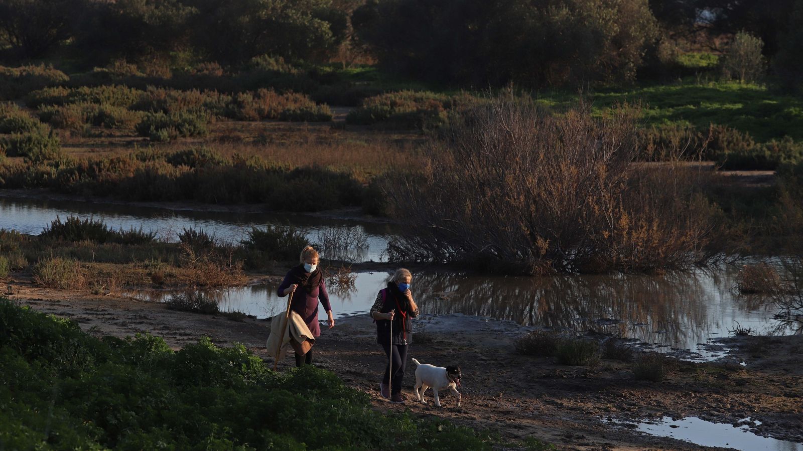 Sendero del arroyo de la Madre Vieja en San Roque