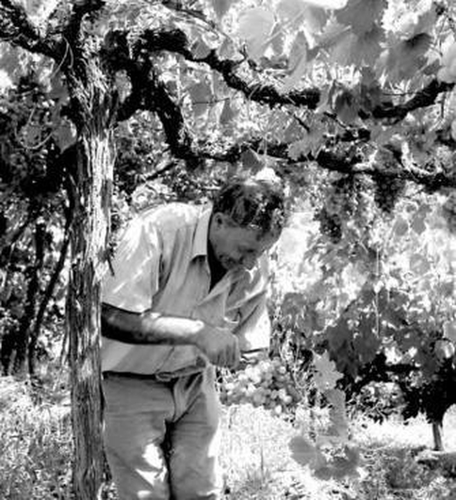 Por hora cobrarán 8,71 euros.