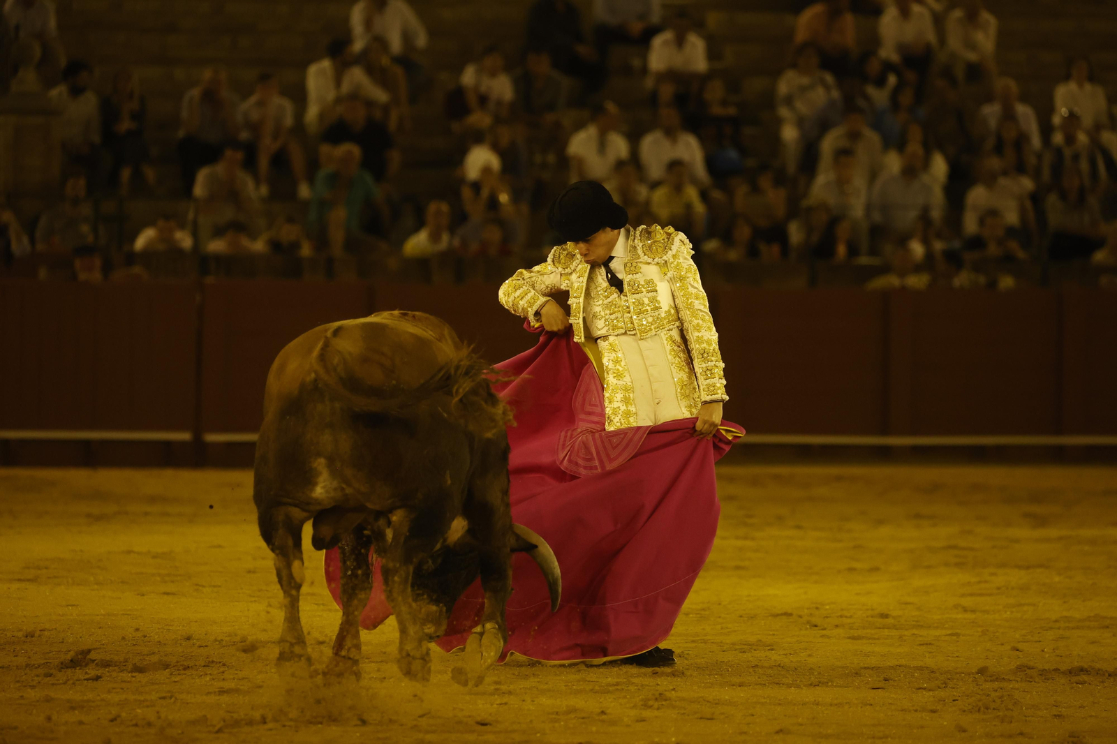 Las imágenes de la novillada en la Maestranza