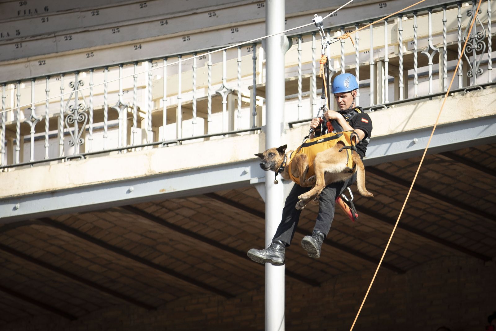 La exhibición del Ejército en la Plaza de Toros de Granada, en imágenes