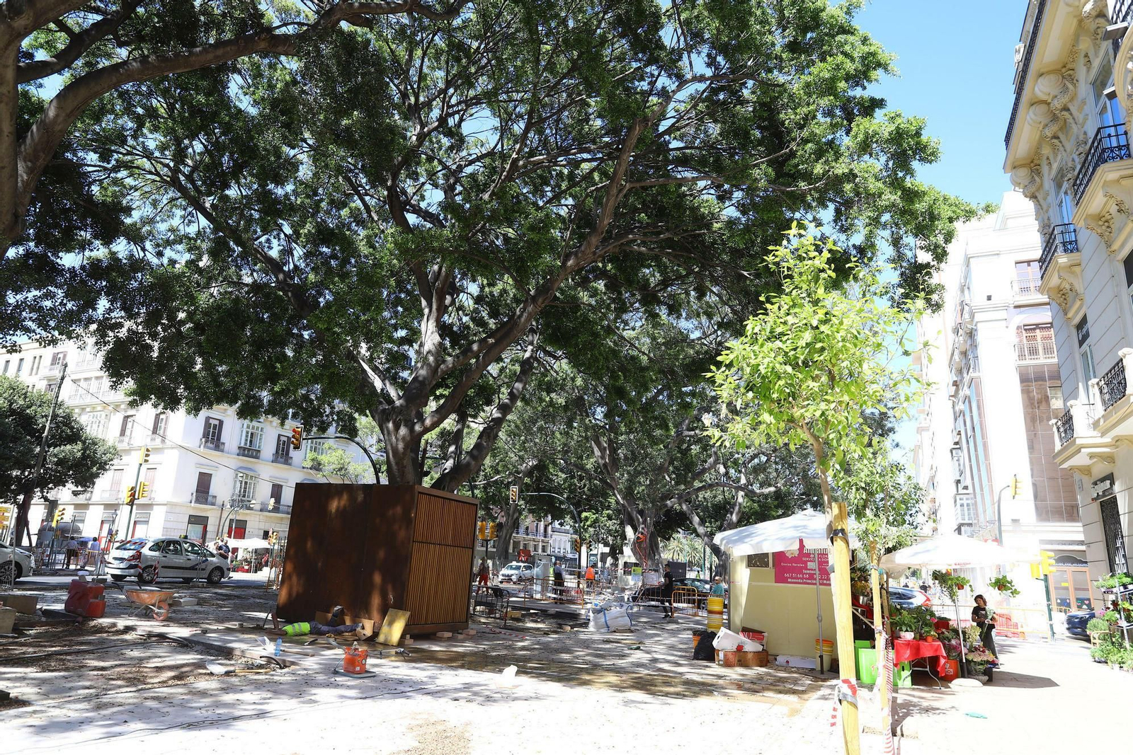 Las fotos de los nuevos puestos de flores de la Alameda