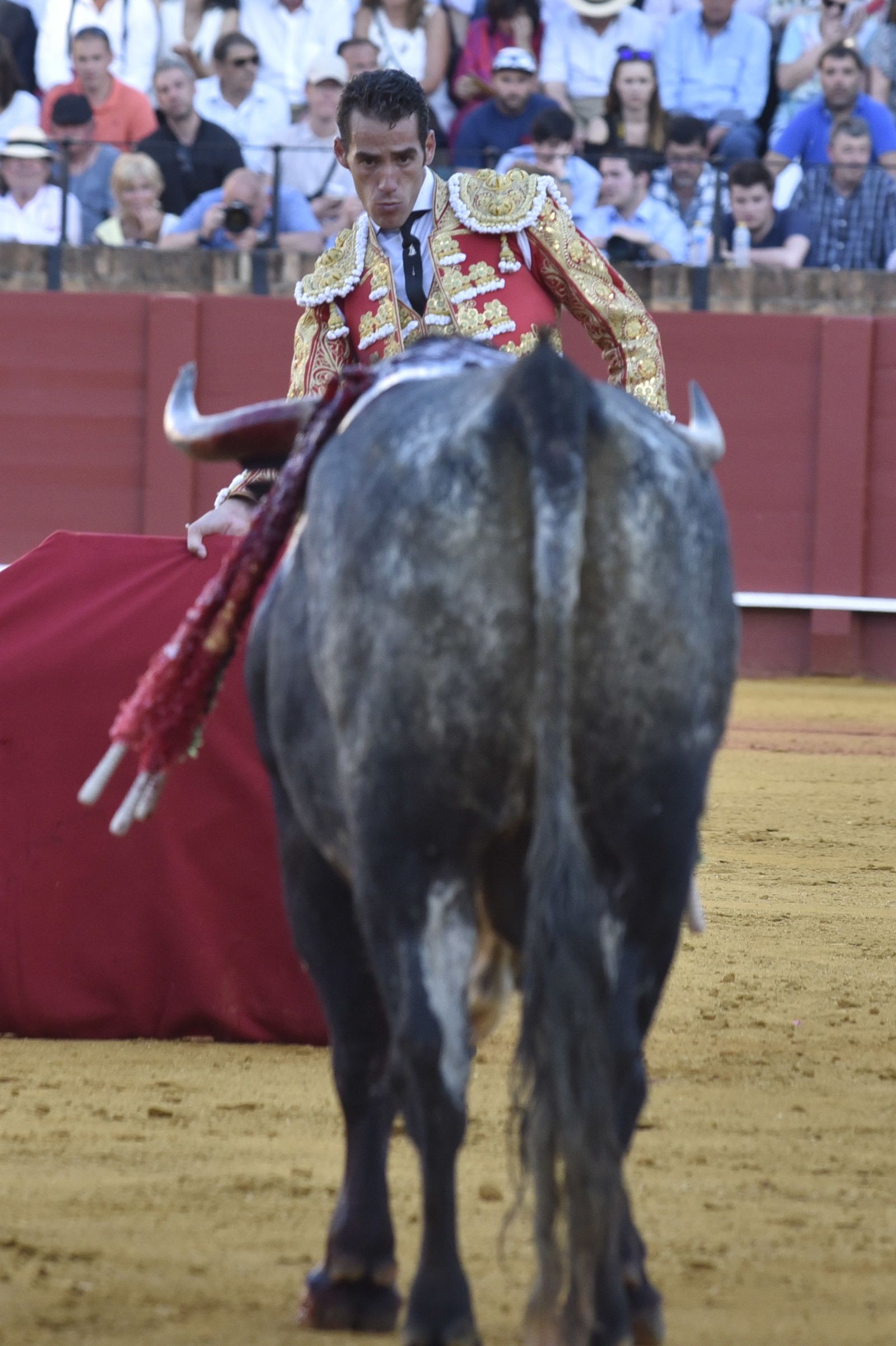 La 14ª de abono en la Real Maestranza de Sevilla, en imágenes